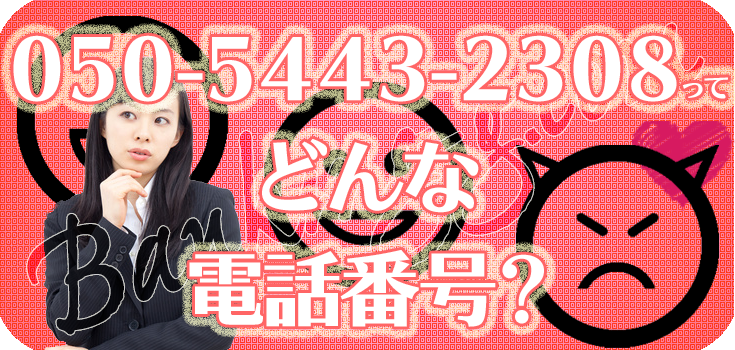 add 11AW8841004 関税送料込 第二弾】あだち定額減税調整給付金の確認書を発送／ 本日（7月16