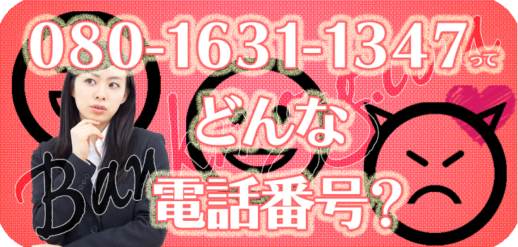 08016311347